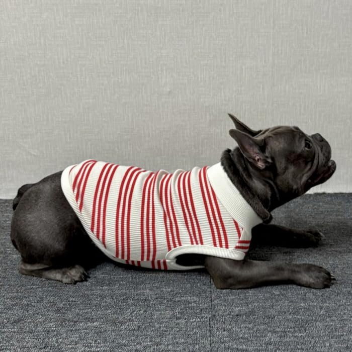 Amazon | D DOGGY STAR フレブル 服 フレンチブルドッグ ボーダー袖